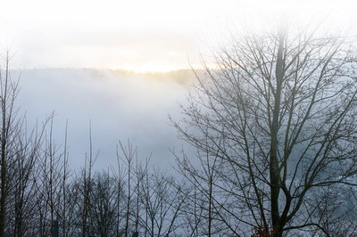 [Blick von der Burg Liebenzell. Foto: Kai HÃ¼bner]