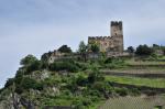 Burg und Panorama